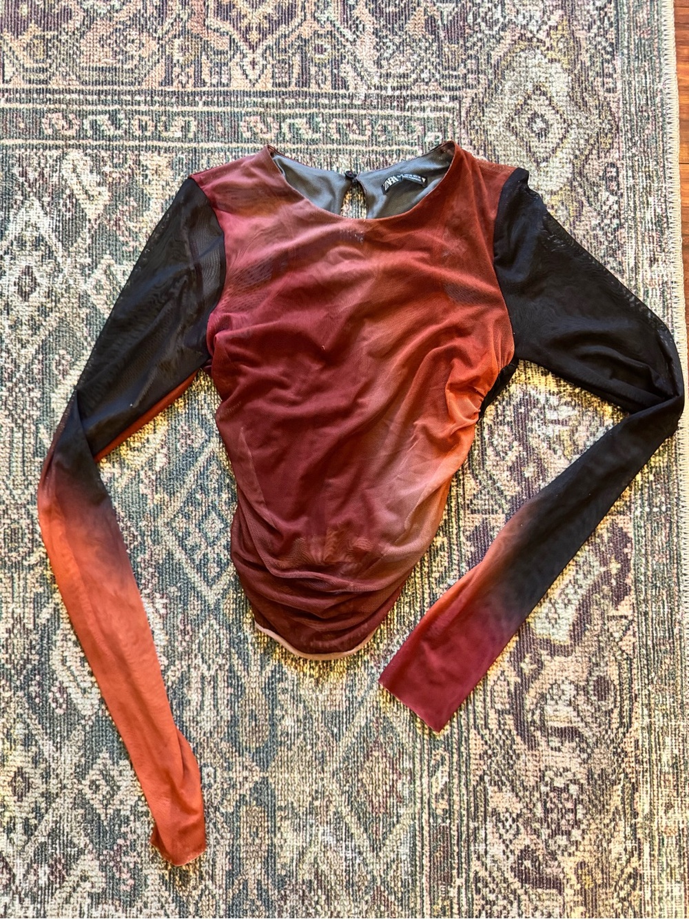 Zara Mesh Ombre Long Sleeve Top